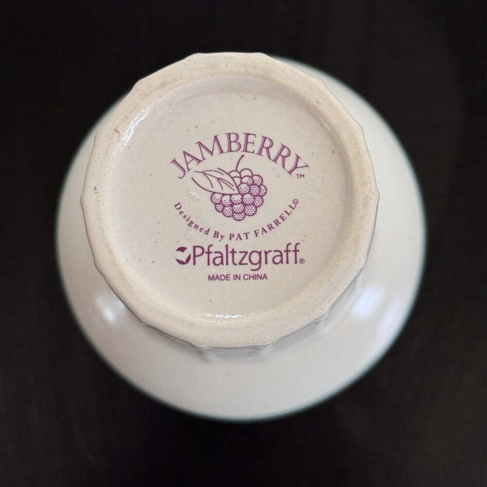 PFALTZGRAFF Jamberry Ice Cream Cone Bowls 4-Piece Set Mint Condition Dessert - Picture 5 of 11